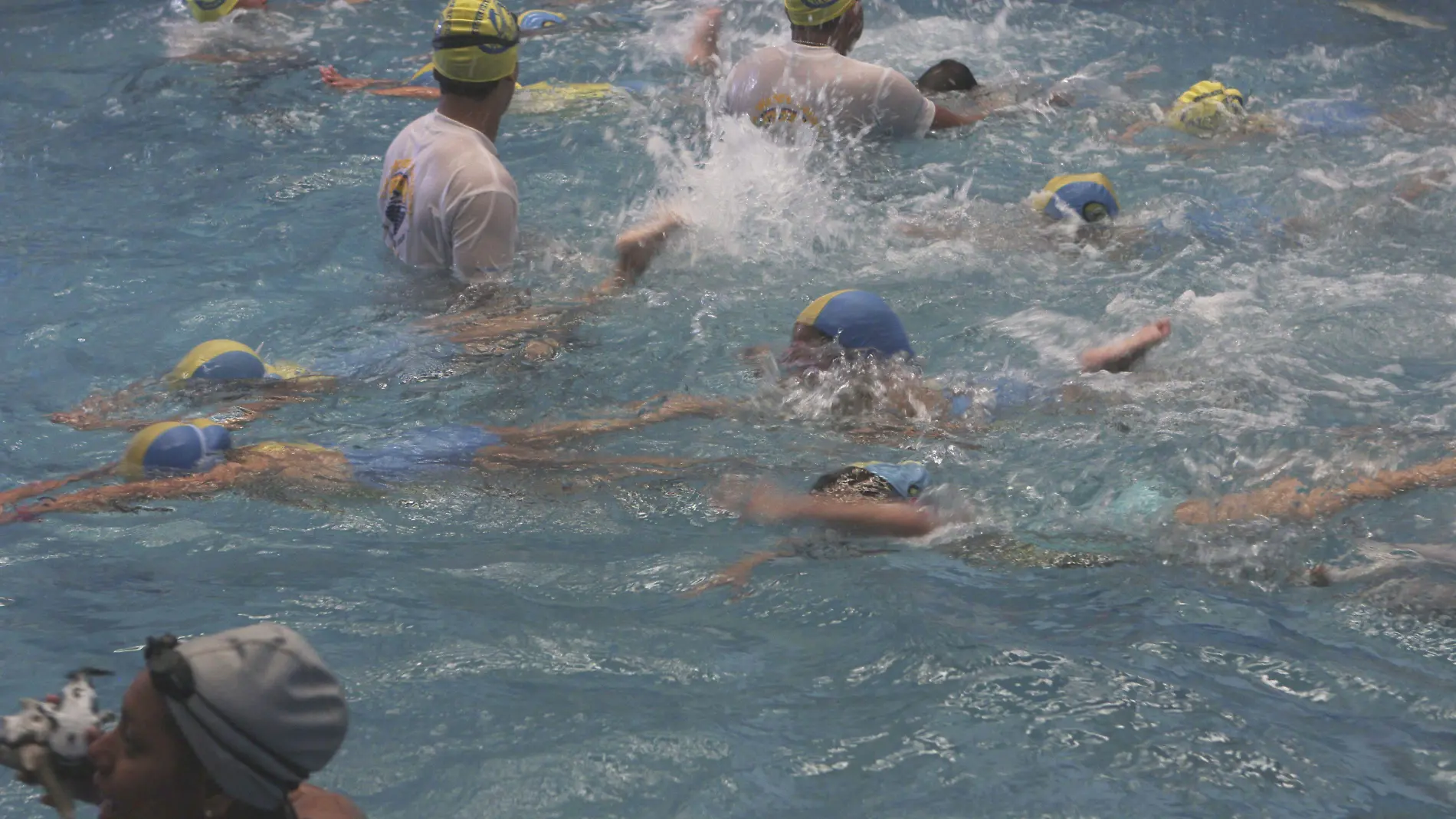 358555_Niños Natación-3_impreso